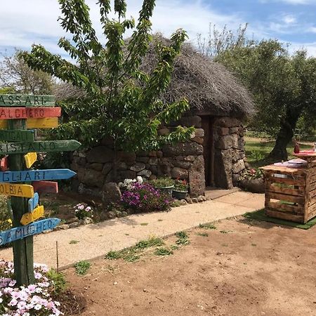 Azienda Agricola Affittacamere S'Ispinalba Di Laura Pitzolu Borore Luaran gambar