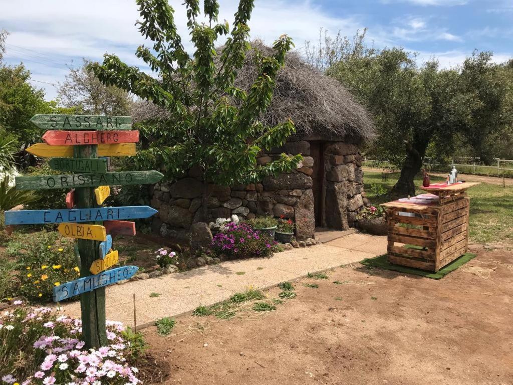 Azienda Agricola Affittacamere S'Ispinalba Di Laura Pitzolu Borore Luaran gambar