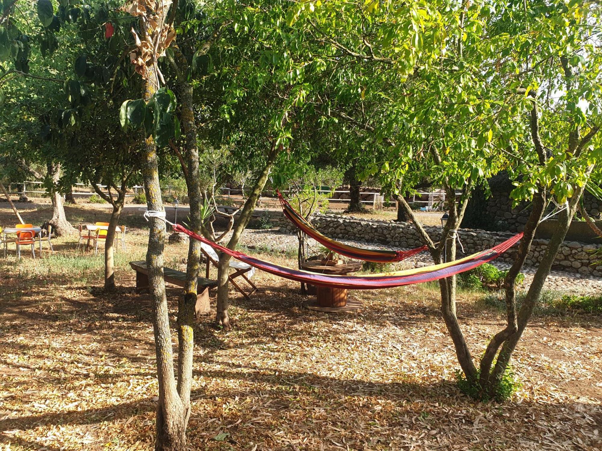 Azienda Agricola Affittacamere S'Ispinalba Di Laura Pitzolu Borore Luaran gambar